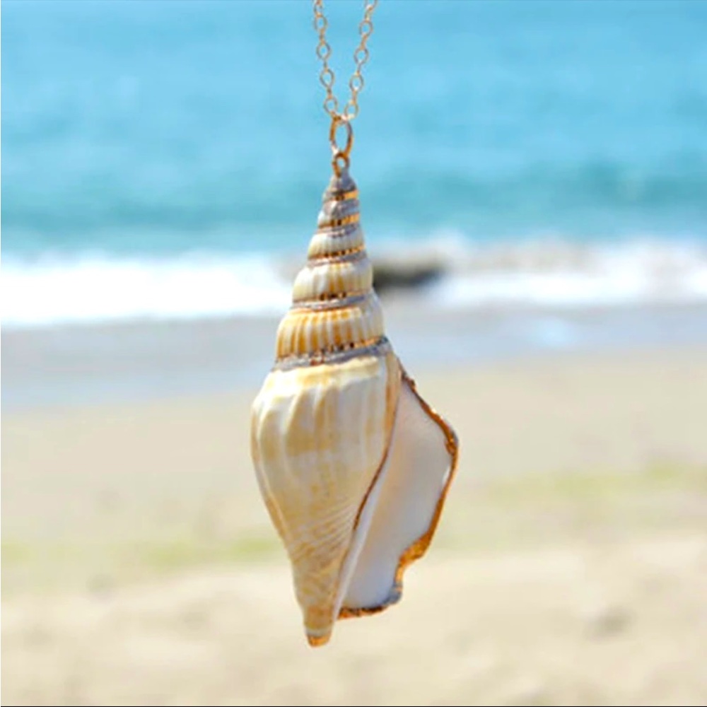 Conch Seashell Necklace